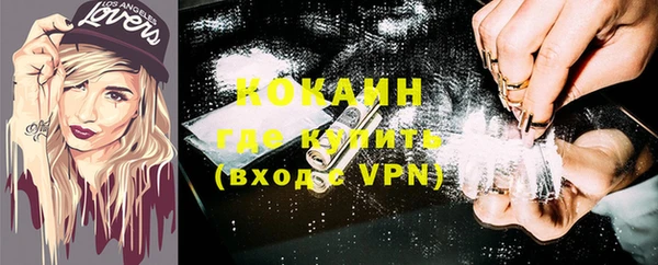 дживик Белокуриха