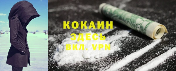 дживик Белокуриха