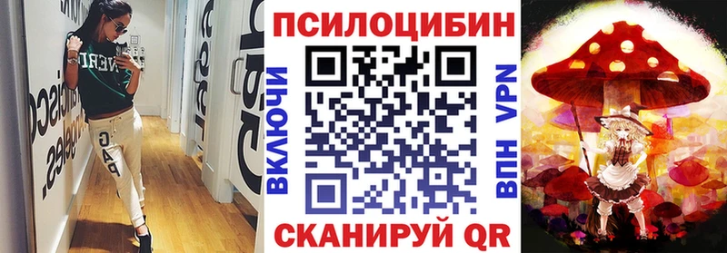 хочу наркоту  Ершов  Галлюциногенные грибы Magic Shrooms 