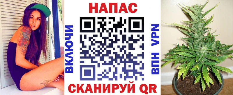 где купить наркоту  Ершов  гидра tor  Бошки Шишки SATIVA & INDICA 